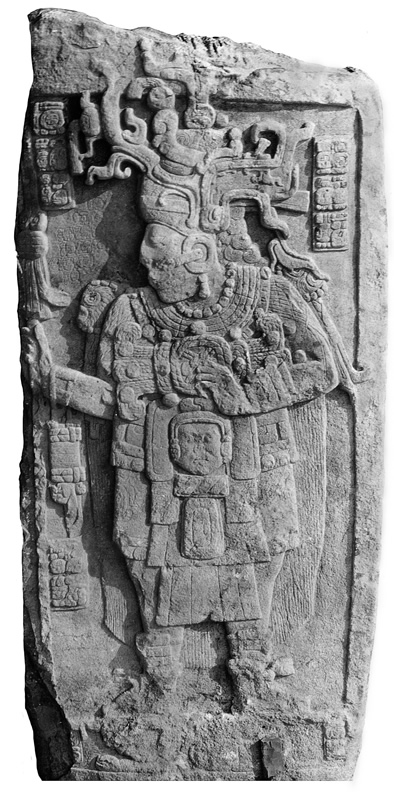 Calakmul Stela 51 Yuknoom Took Kawiil