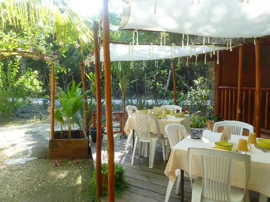 Rio Bec Dreams Hotel | Luxury In the Jungle near Calakmul & Rio Bec Ruins